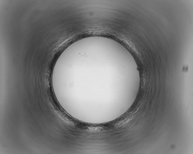 X0000096380450200801241007