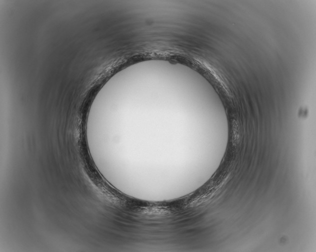 X0000096380451200801241007