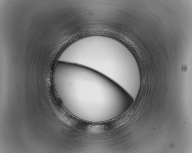 X0000096380452200801241007