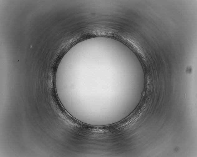 X0000096380453200801241007