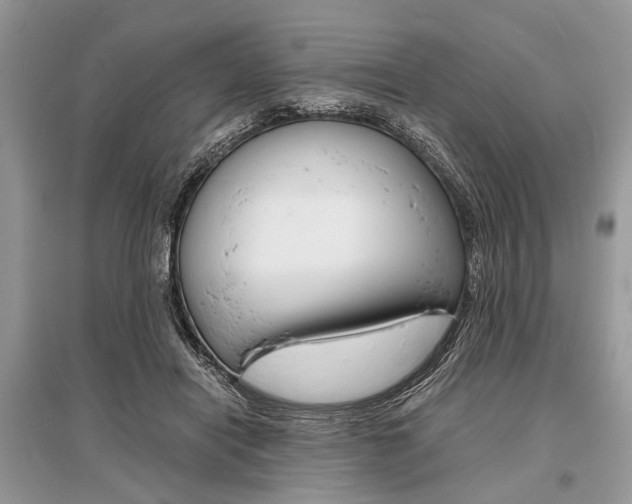 X0000096380454200801241007