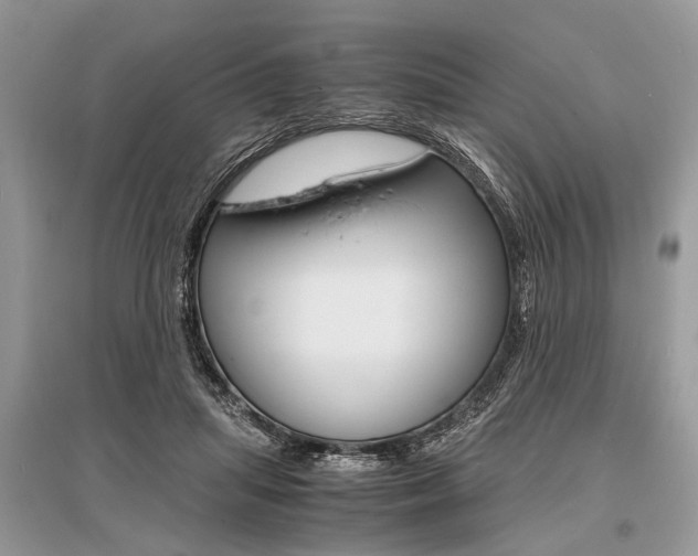 X0000096380455200801241007