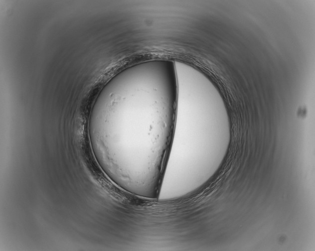 X0000096380456200801241007