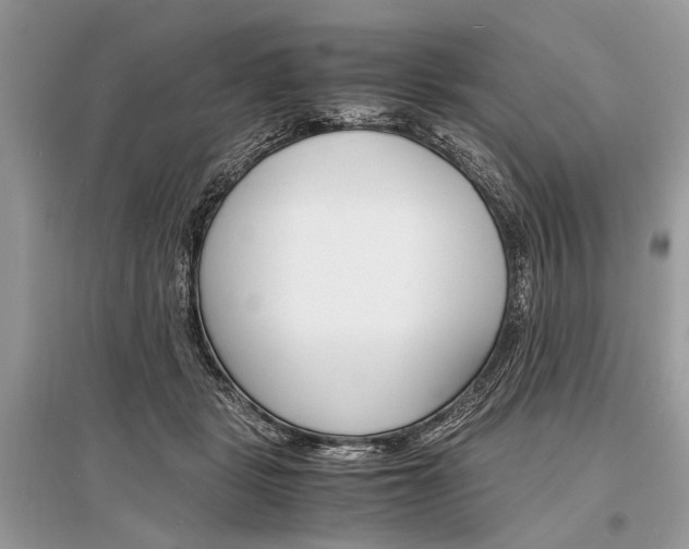 X0000096380461200801241007