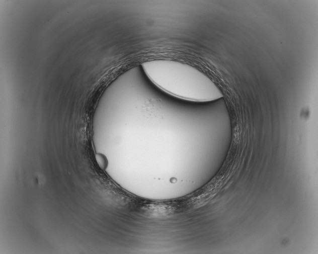 X0000096380464200801241007