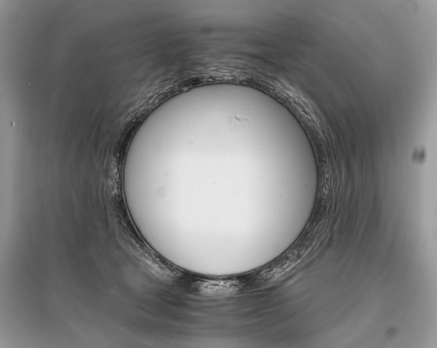 X0000096380465200801241007