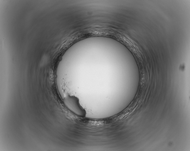 X0000096380469200801241007