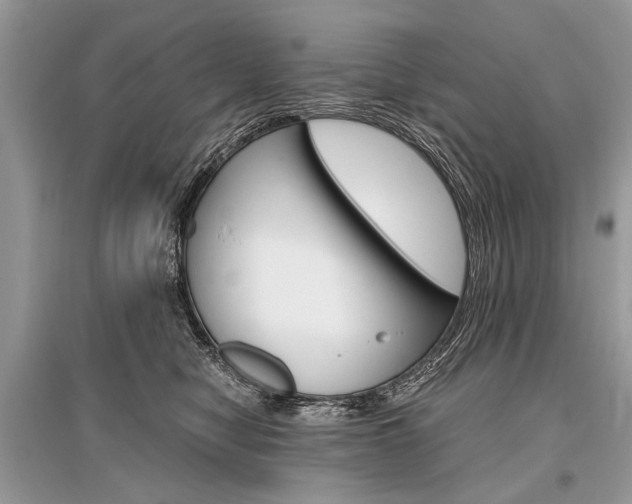 X0000096380470200801241007