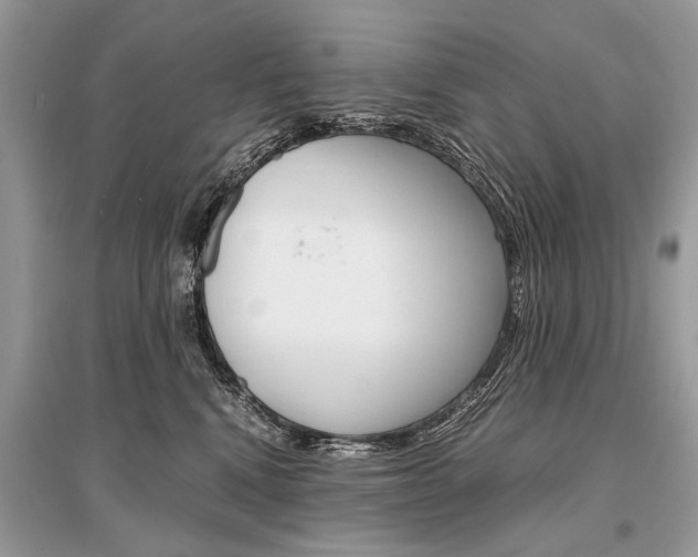 X0000096380472200801241007