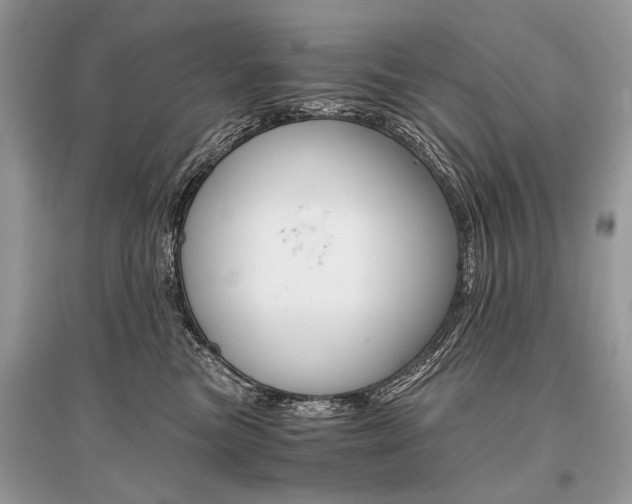 X0000096380473200801241007