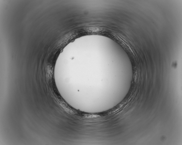 X0000096380476200801241008