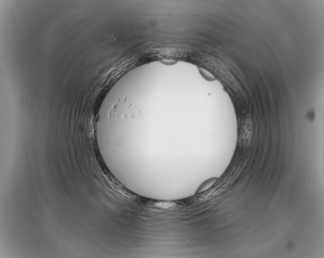X0000096380478200801241008