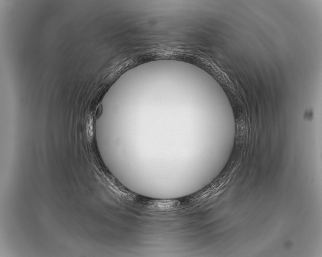 X0000096380479200801241008