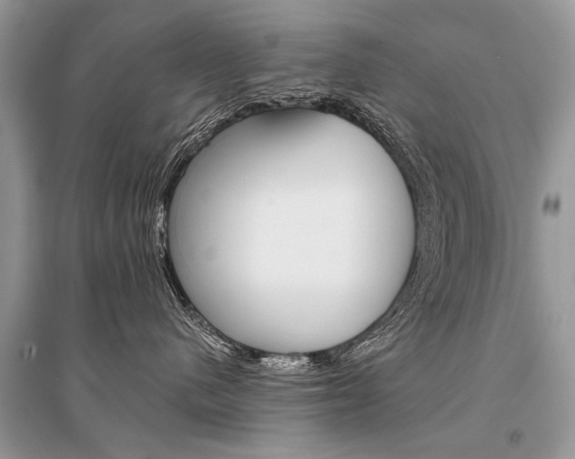X0000096380480200801241008
