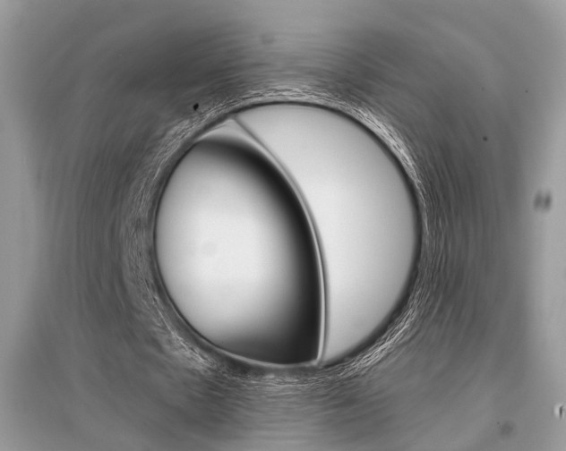X0000096380481200801241007