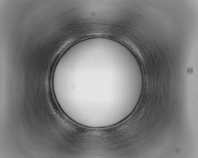 X0000096380482200801241007