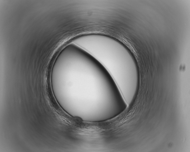 X0000096380483200801241007