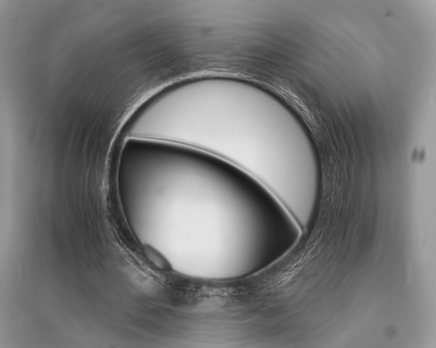 X0000096380484200801241007