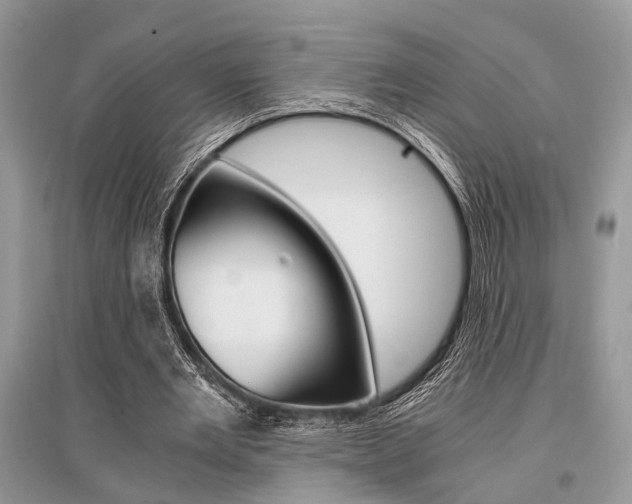 X0000096380485200801241007