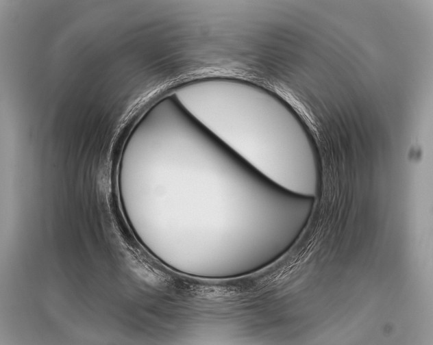 X0000096380486200801241007
