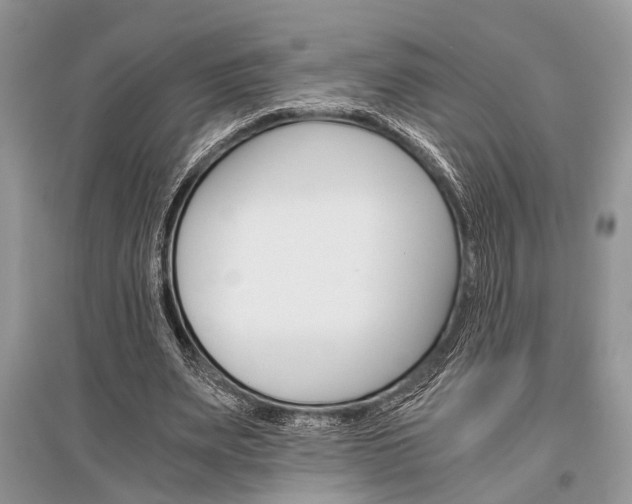 X0000096380487200801241007