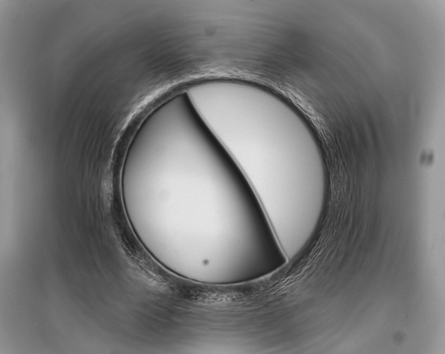 X0000096380488200801241007