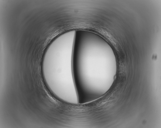 X0000096380489200801241007