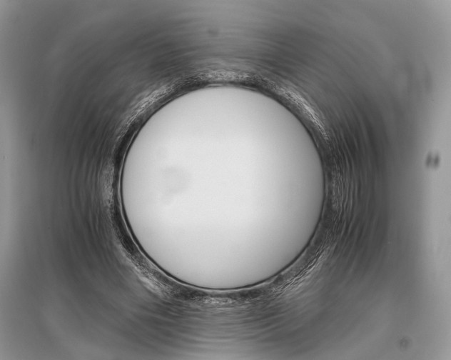 X0000096380490200801241007