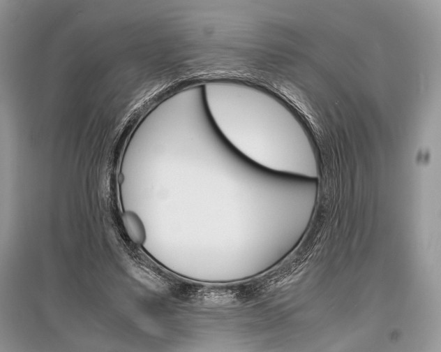 X0000096380491200801241007