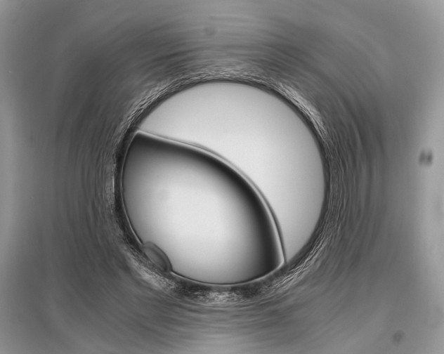 X0000096380493200801241007