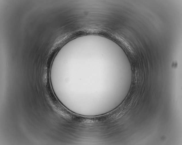 X0000096380494200801241007