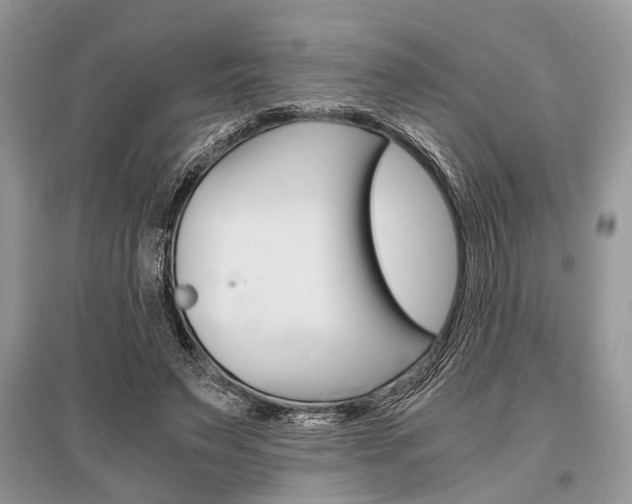 X0000096380495200801241007