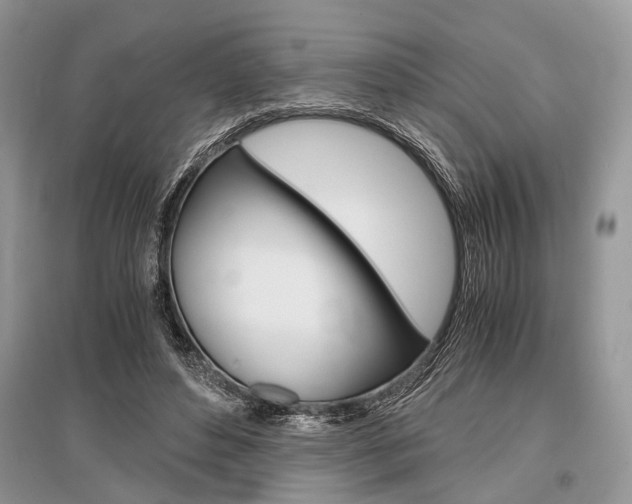 X0000096380496200801241007