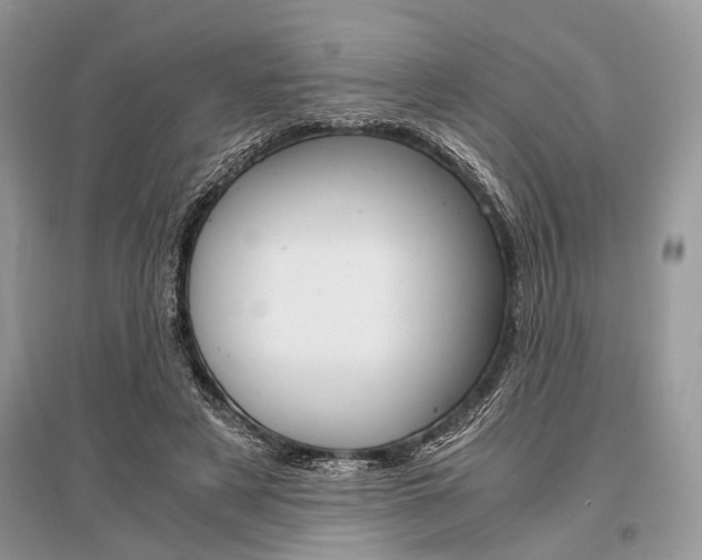 X0000096380497200801241007