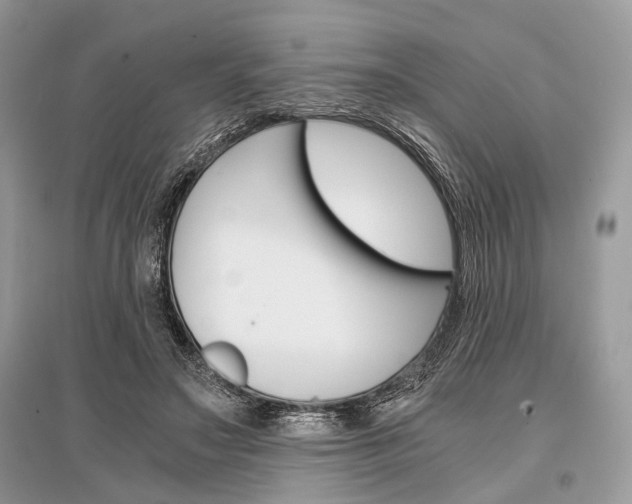 X0000096380499200801241006