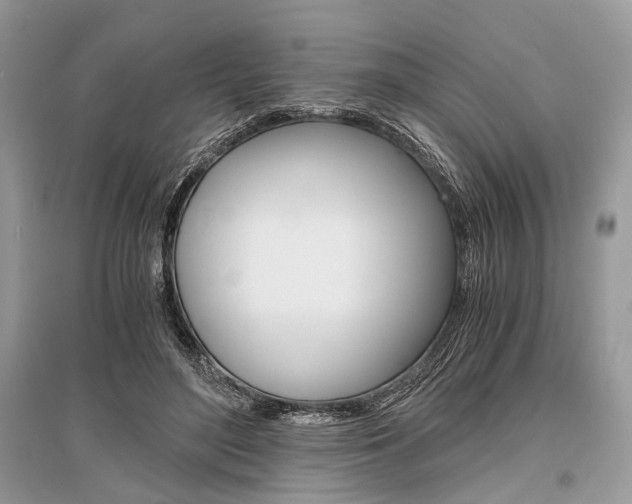 X0000096380500200801241006