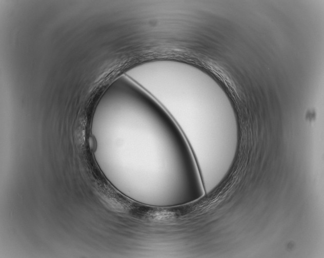 X0000096380501200801241006