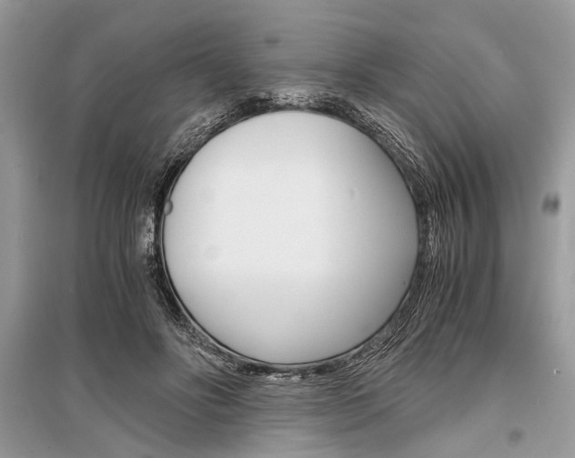 X0000096380502200801241006