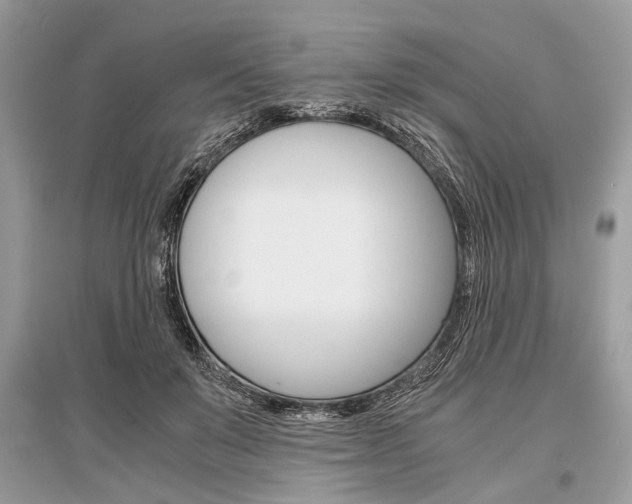 X0000096380503200801241006