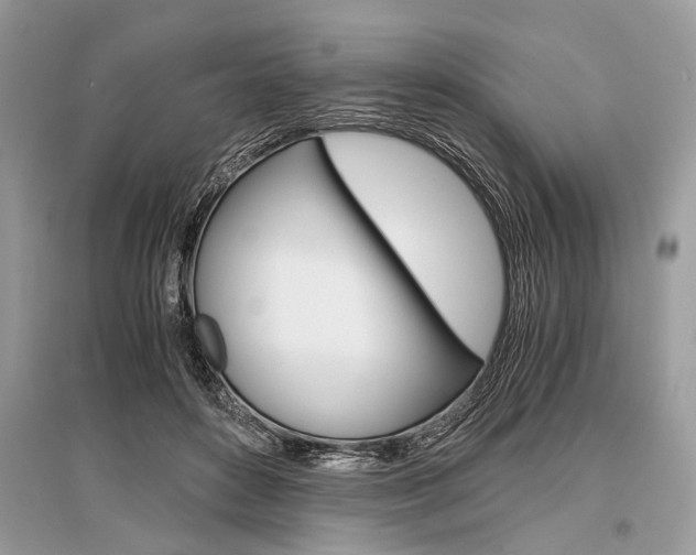 X0000096380504200801241006
