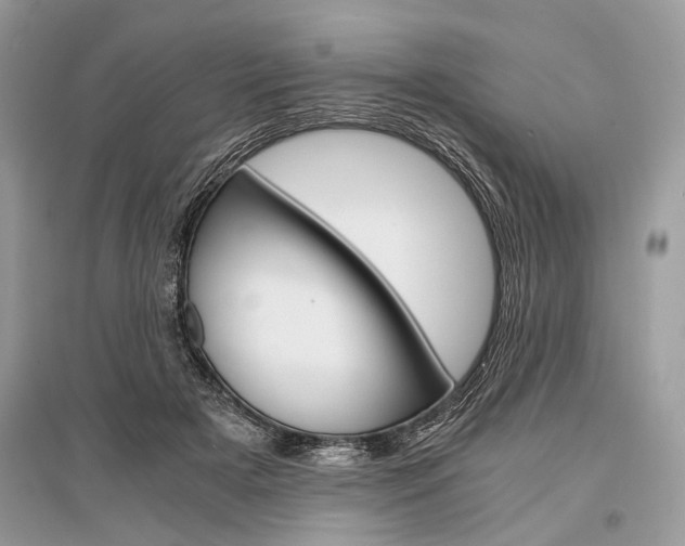 X0000096380505200801241006