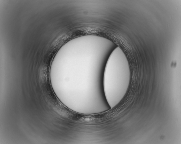 X0000096380506200801241006