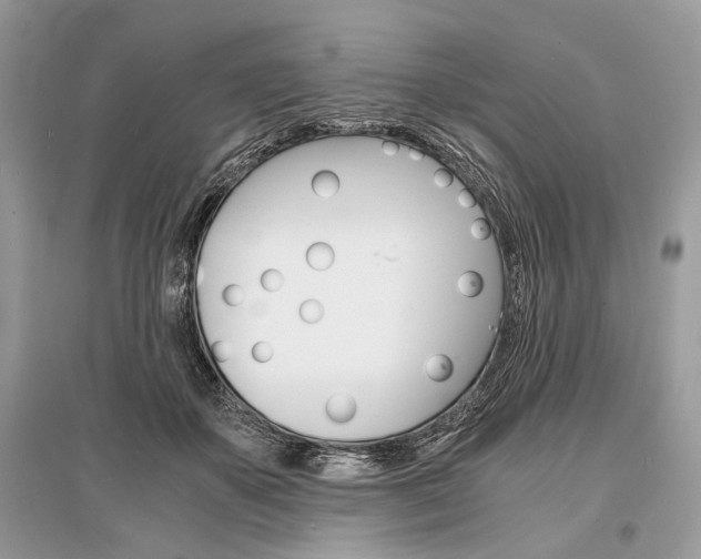 X0000096380507200801241006