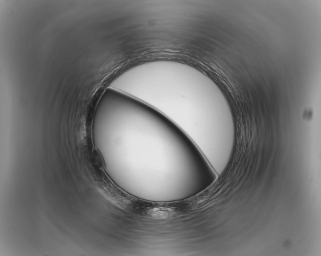 X0000096380508200801241006