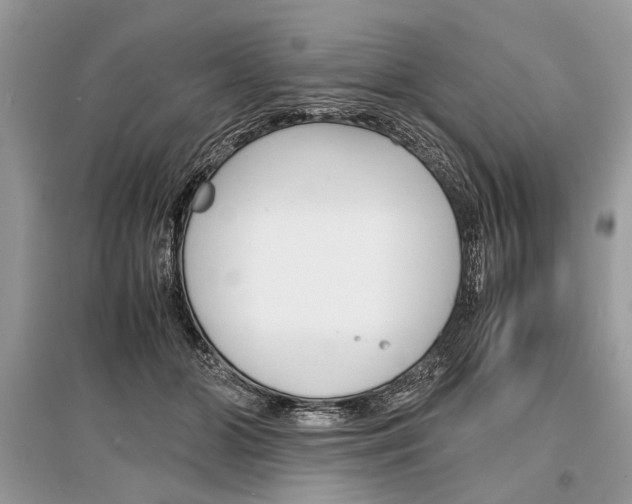 X0000096380510200801241006