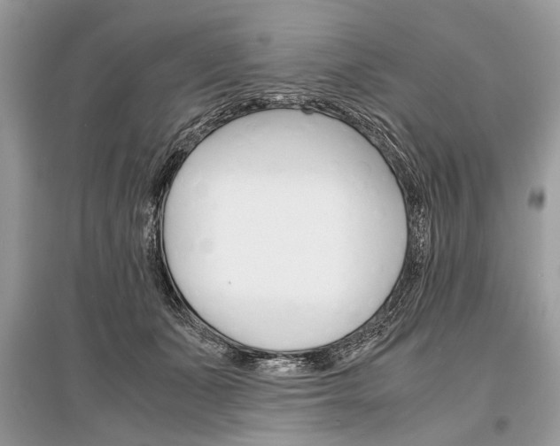 X0000096380511200801241006