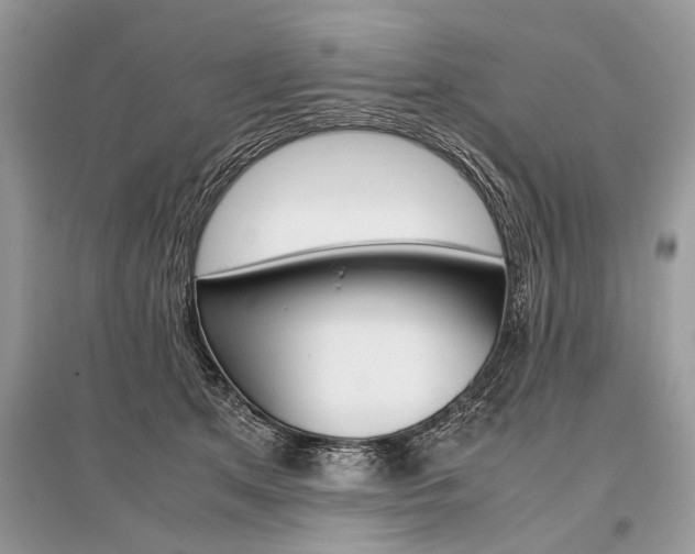 X0000096380513200801241006