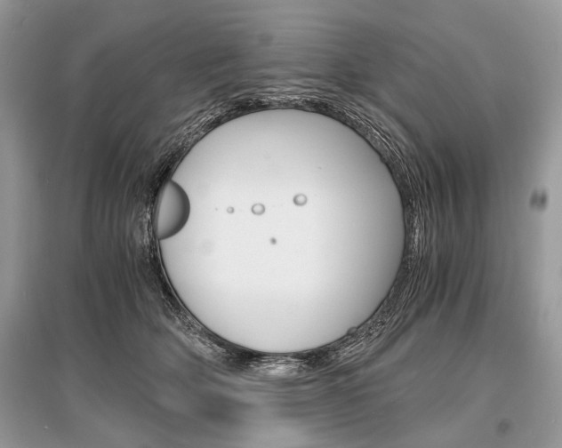 X0000096380514200801241006