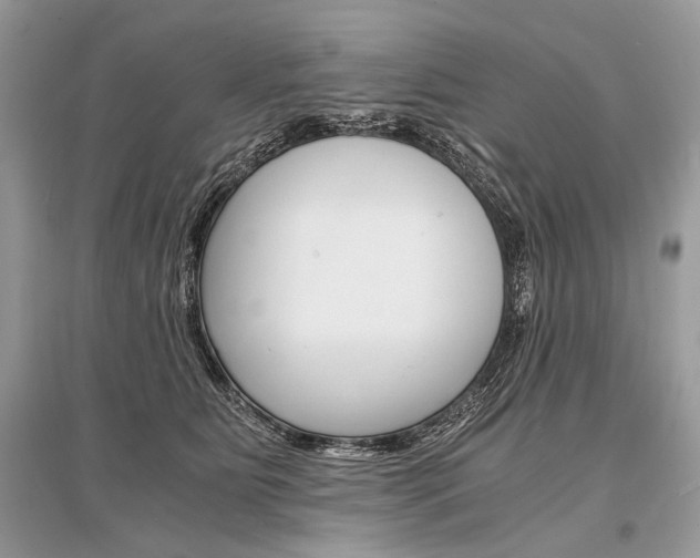 X0000096380515200801241006