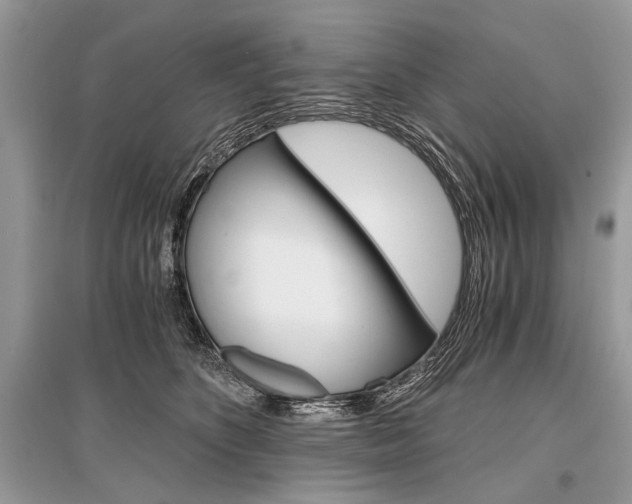 X0000096380516200801241006